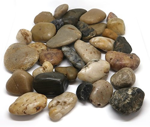 1Buy UK 1kg Large Assorted Browns Natural Decorative Stones Pebbles Craft Table Decoration Pot Vase Fillers Garden Weddings Rocks Aquarium