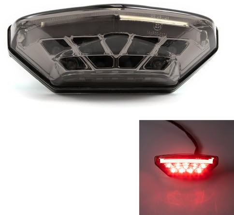 evomosa Motorrad Rücklicht LED rot Bremsleuchte hinten Kennzeichenleuchte Tagfahrlicht Universal für 12V Moto Scooter ATV Quad Bike Dreirad (grau)