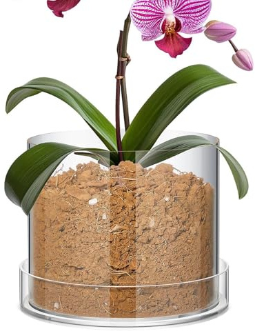 Yonuaret Klare Töpfe für Pflanzen - Klare Pflanzengefäße,Durchsichtige Behälter Becher mit Untersetzer für Blumen Zimmerpflanzen Anzucht und Wachstum