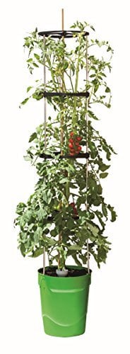 Self Watering Grow Pot Tower in Green by Garland