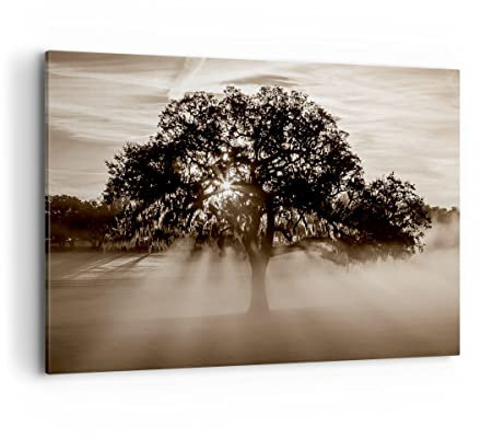 Wandbilder Dekoration Wohnzimmer Baum Feld Natur Bilder auf Leinwand 120x80cm Leinwandbild mit Rahmen Schlafzimmer Küche Deko Wand Kunstdruck Art Groß XXL Wanddeko Bild Wall Decor Canvas AA120x80-3811