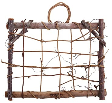 TENYELE Support de cadre pour plantes aériennes en rotin Tillandsia Support mural en bois pour décoration de la maison