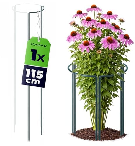 KADAX Staudenstütze 115 cm Höhe, Pflanzenstütze aus pulverbeschichtetem Stahl, Hortensienstütze, Rankhilfe für Stauden, Strauchstütze (1/3 Rund)
