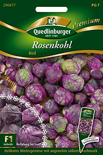 Quedlinburger 290477 Rosenkohl Redarling (Rosenkohlsamen)