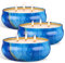 Citronella Kerze Groß Outdoor, OFUN 3 * 14oz Citronella Kerzen Set mit 3 Docht, Natürliche Sojawachs Zitronengras Kerzen für Garten, Camping, Indoor, Grillen, Picknicks, Schlafzimmer, Sommergeschenk