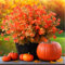 YXYQR 8 Pack Fall Artificial Flowers Outdoors Autumn Faux Plants Outside UV Resistant Indoor Fake Hanging Greenery Shrubs for Window Box Thanksgiving Christmas Home Decoration (Fall Orange)