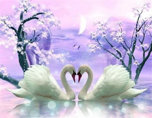 MT Majami Diamond Painting DIY 5D Diamantmalerei Schwan Romantisch 30x40 cm Gemälde Wanddekoration Gemälde Freizeitspaß Erwachsene Jugendliche