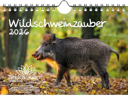Wildschweinzauber DIN A5 Kalender für 2026 Schweine Schweinchen - Geschenkset Inhalt: 1x Kalender, 1x Weihnachtsanhänger (insgesamt 2 Teile)