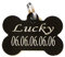 Lulizzie Hunde- und Katzenmarke, personalisierbar, Lackschutz + Ring, 1 Stück, Oval, Aluminium, Schwarz, Blau, Rot, Lila, Grün, Gold, Hundemarken, Haustier-ID-Marke, pet id tag, tag