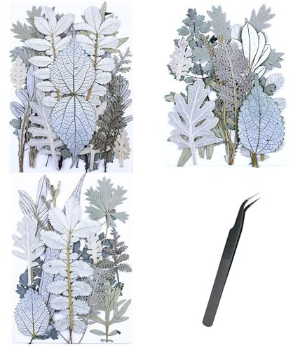 Cayway Natürlich Getrocknete Blumen Gepresste Blumen zum Basteln Blüten Getrocknet, 3 Packung Weiß Gepresste Trockenblumen für Harz Gepresste Blüten Scrapbooking Blumen