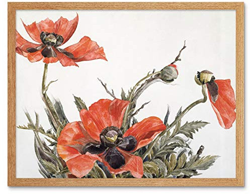 Fine Art Prints Demuth Peinture aquarelle Coquelicots rouges Décoration murale 30,5 x 40,6 cm