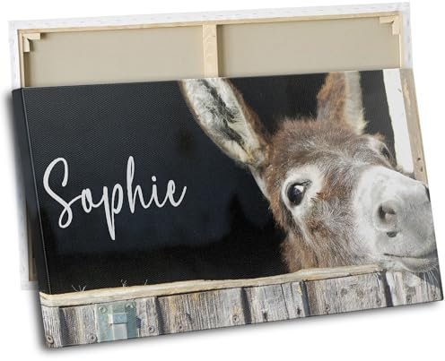 timalo® Kinderzimmer Leinwandbilder personalisiert mit Namen | Bild auf Leinwand Kinder Bilder für die Wand Wandbild xxl Bild fürs Teenager Mädchenzimmer | 120 x 50 cm Esel