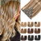 EINbeauty Clip In Extensions Echthaar 7Stücke Extensions Echthaar Gerade Echthaar Extensions Hellbraun gemischt Ashblond Extensions Clip In 80g 35cm(14Zoll，P6/18K#）