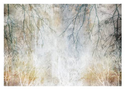 Fototapete Zweige Äste Baum Betonwand Betonoptik Beton - inkl. Kleister - für Wohnzimmer Schlafzimmer Flur Vlies Tapete Vliestapete Wandtapete Motivtapeten Montagefertig (208x146 cm)