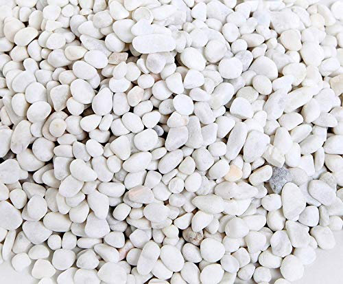 Ruiuzioong Kieselsteine 2 Pfund polierter Kies, natürliche polierte gemischte Farbsteine, kleine dekorative Flussgesteinsteine (White-510g)