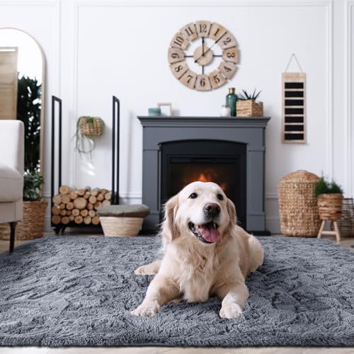 XSIVOD Flauschig Hochflor Teppich Grau, Waschbarer Teppich 80x160 Wohnzimmer Anti Rutsch Extra Große Teppiche Schlafzimmer Weich Moderne Teppiche Matte Teppichen für Kinderzimmer