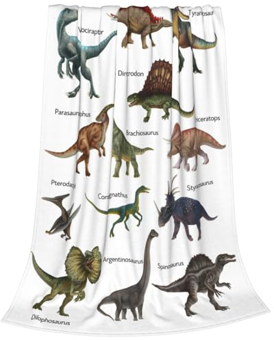Newhomestyle Dinosaurier-Überwurfdecke für Jungen und Kleinkinder, weiche und warme Dino-Flanelldecke, leichte, gemütliche Fleece-Decken für Bett, Sofa, Couch (Stegosaurus, Dimetrodon, Velociraptor