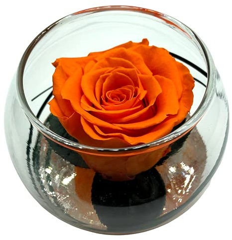 Rose Eternelle La Vie en Rose - Vaso a sfera in vetro, colore: Rosa stabilizzata - Composizione floreale (arancione)