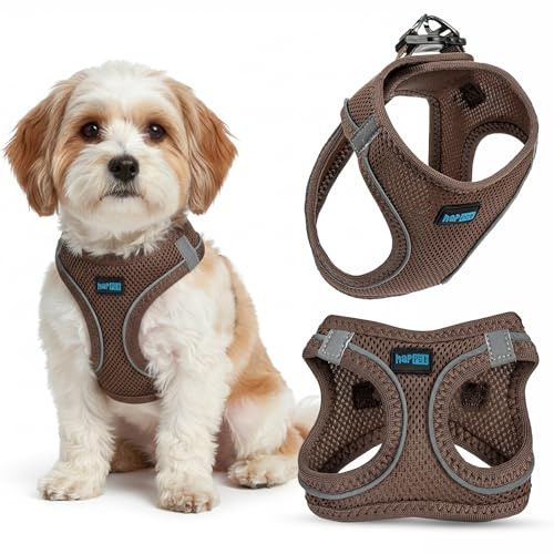 Happet Hundegeschirr XXS für kleine Hunde & Katzen – atmungsaktives Air-Mesh Brustgeschirr, weich gepolstert, leicht & verstellbar, reflektierend, komfortabel & sicher, Softgeschirr für Hunde, Braun