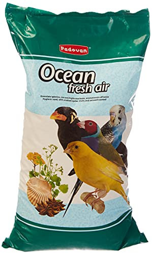 Padovan - Sabbia oceanica per Uccelli all'anice -depolverizzata e sterilizzata - 5 kg