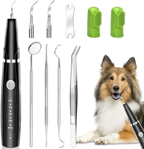 Onherm Zahnreinigungset für Katzen und Hunde, 5 Reinigungsmodi, IPX6 Wasserdicht, Batteriebetrieben, Schwarz, Zahnbürste