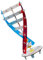 OFFIGAM 1Satz DIY DNA Doppelhelix Modell Aus Pädagogisches Für Biologischen Bildung Unterrichtshilfen Für Klassenzimmer Und Lernspiele Für Jahre
