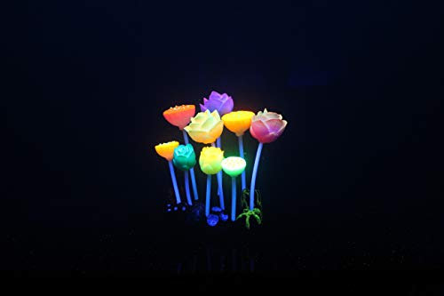 Aqua Lumo Pianta di Loto in Silicone Fluorescente