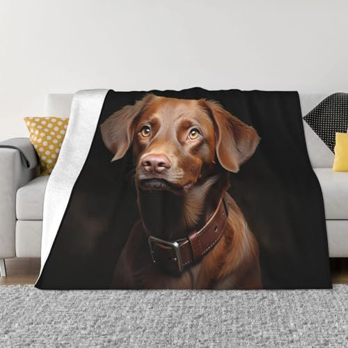 Retriever Decke mit Hundemotiv, für alle Jahreszeiten, superweich, gemütlich, Flanelldecke, warme Plüsch-Überwurfdecke für Couch und Bett, Braun