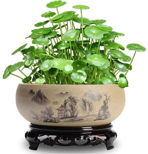 Lotusschalen zum Pflanzen in Wasser im Innenbereich, chinesischer Keramik -Lotus -Schüssel Pflanzer mit Ständer, heilige bonsai-schüssel lotusblume,Keramik -Sukkulenten -Töpfe,Hydroponic Bonsai Lotus