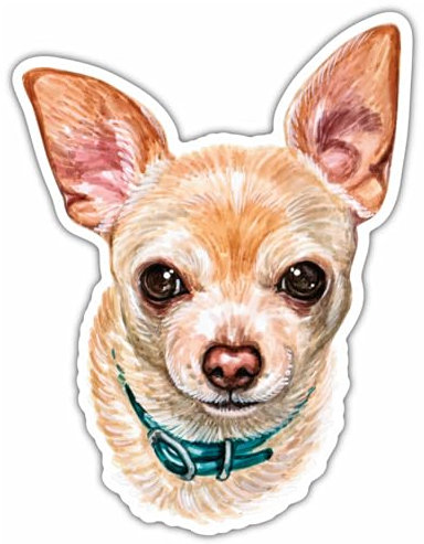 Samunshi® Süßer Chihuahua Aufkleber Autoaufkleber für Motorrad Fahrrad Roller oder Auto Sticker Fahrrad Mtb Mountainbike Rennrad Hund Dog Dogo 10cm Süßer Chihuahua