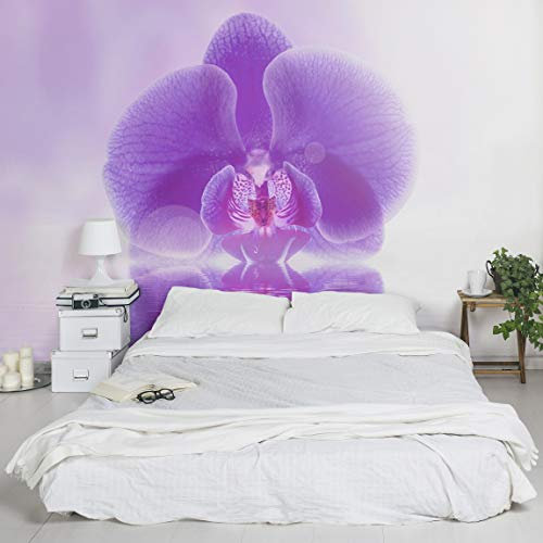 Top Orchideen Tapeten 255 x 384 cm Lila Orchidee auf Wasser