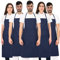 PALLTEX BORAGO Kochschürze Männer Kochschürze Damen Schürze Damen Schürze Herren für Kochen Basteln Malen Backen EN ISO 13688 (Blau - 5 Stücke)