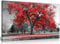 Impression sur toile - « nature en noir et blanc avec feuilles rouges d'un grand arbre », noir/rouge/blanc, A0 91x61cm (36x24in)