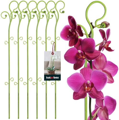 KOTARBAU® 6er Set Pflanzenstütze Grün PVC 58 cm Blumenstütze Rankhilfe Zimmerpflanzen Blumenstütze Garten Orchideenstab Stützstab Pflanzen dekorative Pflanzenhalter Zimmerpflanzen Rankstäbe