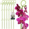 KOTARBAU® 6er Set Pflanzenstütze Grün PVC 58 cm Blumenstütze Rankhilfe Zimmerpflanzen Blumenstütze Garten Orchideenstab Stützstab Pflanzen dekorative Pflanzenhalter Zimmerpflanzen Rankstäbe
