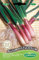 Germisem graines Ciboule rouge ALLIUM FISTULOSUM