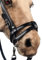 X-Group4th Zaumzeug für realistisch Hobby Horse A4, Pferd Zaumzeug + Pferdezügel, Steckenpferd, Englisches Reithalfter Nasenriemen Pferdegebiss Karamell