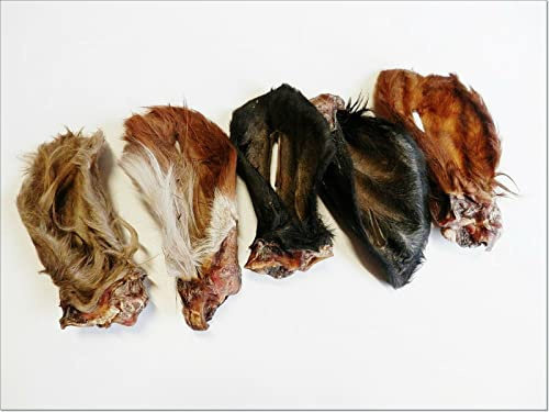 DriedDogTreats Natural Dried Dog Treats Furry Beef Cow Ears (10 pcs) | Large Thick Hairy Ears with Auricle, Grade A - Long Lasting Chews for All Breeds & Sizes