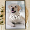 Labrador Geschenke Holzbild - Foto Geschenk - personalisierbar zum Hinstellen/Aufhängen opt. beleuchtet Labrador Schild, Hundebesitzer, Mein Labrador Kuscheltier Poster - personalisierte Geschenke