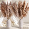 11 Stück Pampasgras Groß, 120CM Pampasgras Deko Natürliche und Flauschige, Pampas Grass XXL Getrocknet Bouquet für Hochzeit, Wohnzimmer, Schlafzimmer Deko (120-11-B)