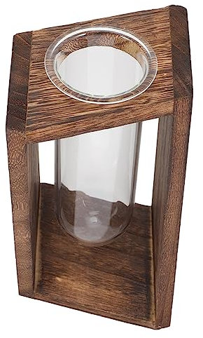 FUNOMOCYA Reagenzglasvase Für Zimmerpflanzen Klare Pflanzenvase Mit Rack Kleine Pflanzen-Terrarium-röhrchen Heimdekoration Für Büro Und Wohnzimmer