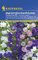 Kiepenkerl 898 Marienglockenblume Prachtmischung (Marienglockenblumensamen)
