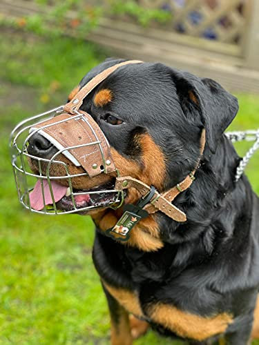 Starker Maulkorb aus Drahtmetall für Hunde, Rottweiler, Mastiff Golden Retriever und andere (R3, silberfarben/braunes Leder)