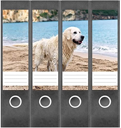Etiketten für Ordner | Golden Retriever Hund | 4 breite Aufkleber für Ordnerrücken | Selbstklebende Design Ordneretiketten Rückenschilder