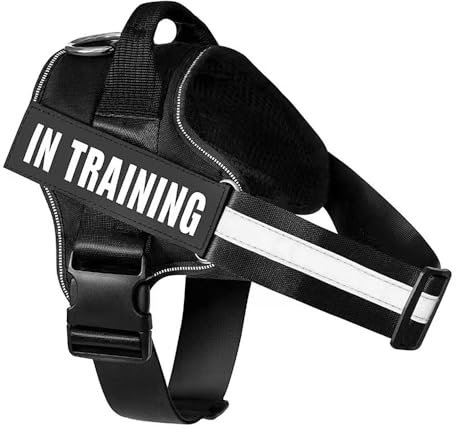 FDEETY Hundegeschirr für Hunde Geschirr Ausbruchsicher Verstellbare Brustgurt mit Frontschnalle Reflektierend Nacht Sicherheitsgeschirr Harness Hund Zubehör für Kleine Mittlere Große (L)