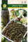 Mascarell Semillas, ALCAPARRA, Semillas Huerto, ALCAPARRAS, Crea tu Propio Huerto Urbano y Cultivo en Casa, Plantas Hortícolas, 0,5 Gramos