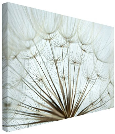 Bilderwelten Leinwandbild - Schöne Pusteblume Makroaufnahme - Quer 2:3, 40cm x 60cm