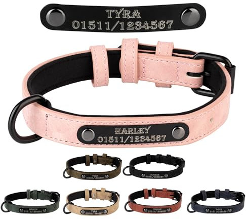 Jacks O Be Hundehalsband Halsband Name Gravur personalisiert Haustier Hund Katze Leder (Rosa, M)
