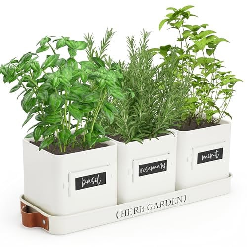 PERFNIQUE Set di fioriere da giardino per erbe aromatiche da interni, con vassoio, vasi per piante da fattoria, fioriera da davanzale con drenaggio, per interni/esterni, vasi da finestra (bianco)