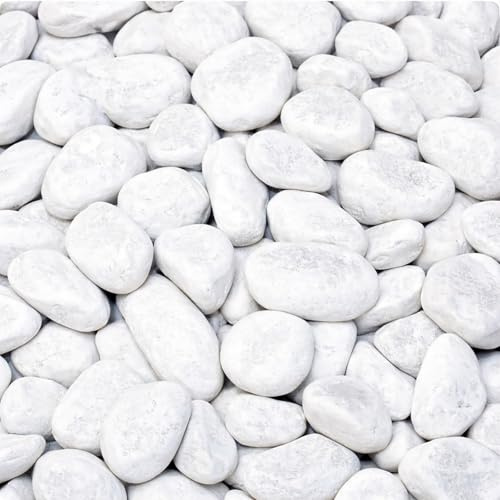 Carrara Marmorkies Weiß 20 kg 15-25 mm Zierkies Naturstein Dekokies Garten | Naturstein Zierkies 2x10 kg frostsicher für Beetgestaltung, Wege, Einfahrten und dekorativen Spritzschutz im Garten